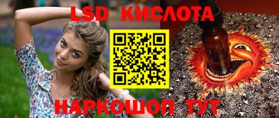 гидра Михайловка