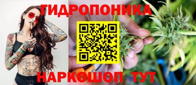 мдпв Дубна
