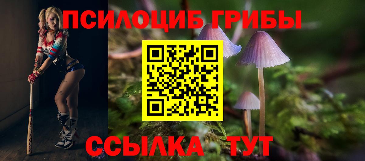 Псилоцибиновые грибы Psilocybine cubensis  дарнет шоп  Новотроицк  Вход с VPN 